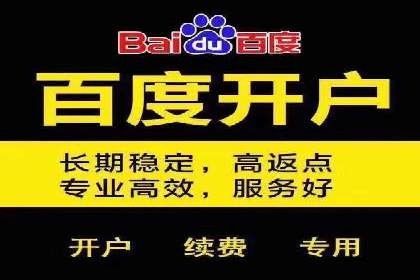解析SEM托管公司经典案例：如何制定有效的广告策略